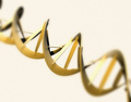 bio-helix