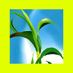 Framtíðin er í okkar höndum