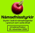 Námsstyrkir