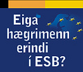 ESB fundur