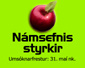 Námsefnisstyrkir SI