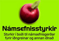 Námsefnisstyrkir SI