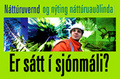 er_satt_i_sjonmali