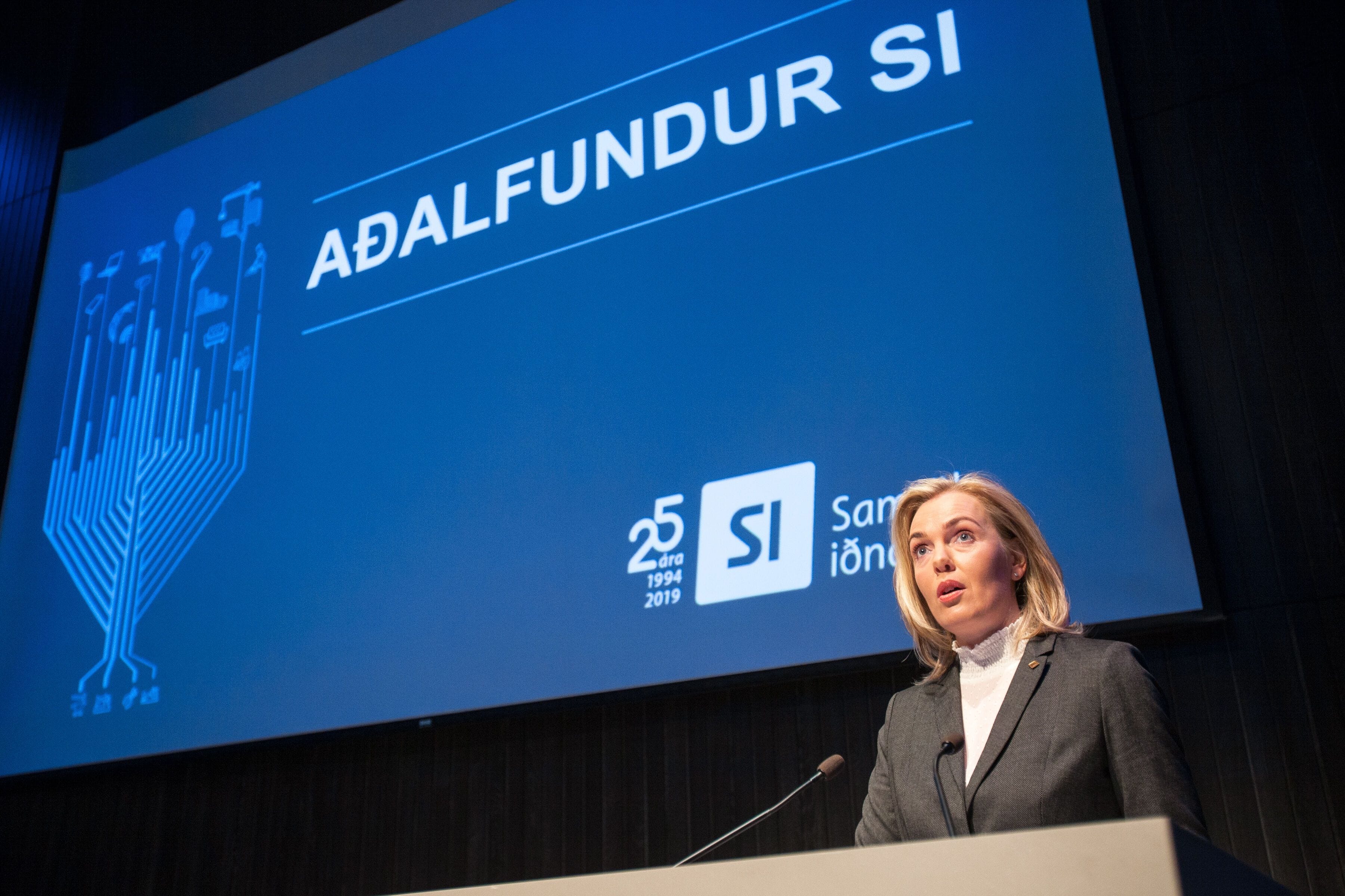Aðalfundur SI