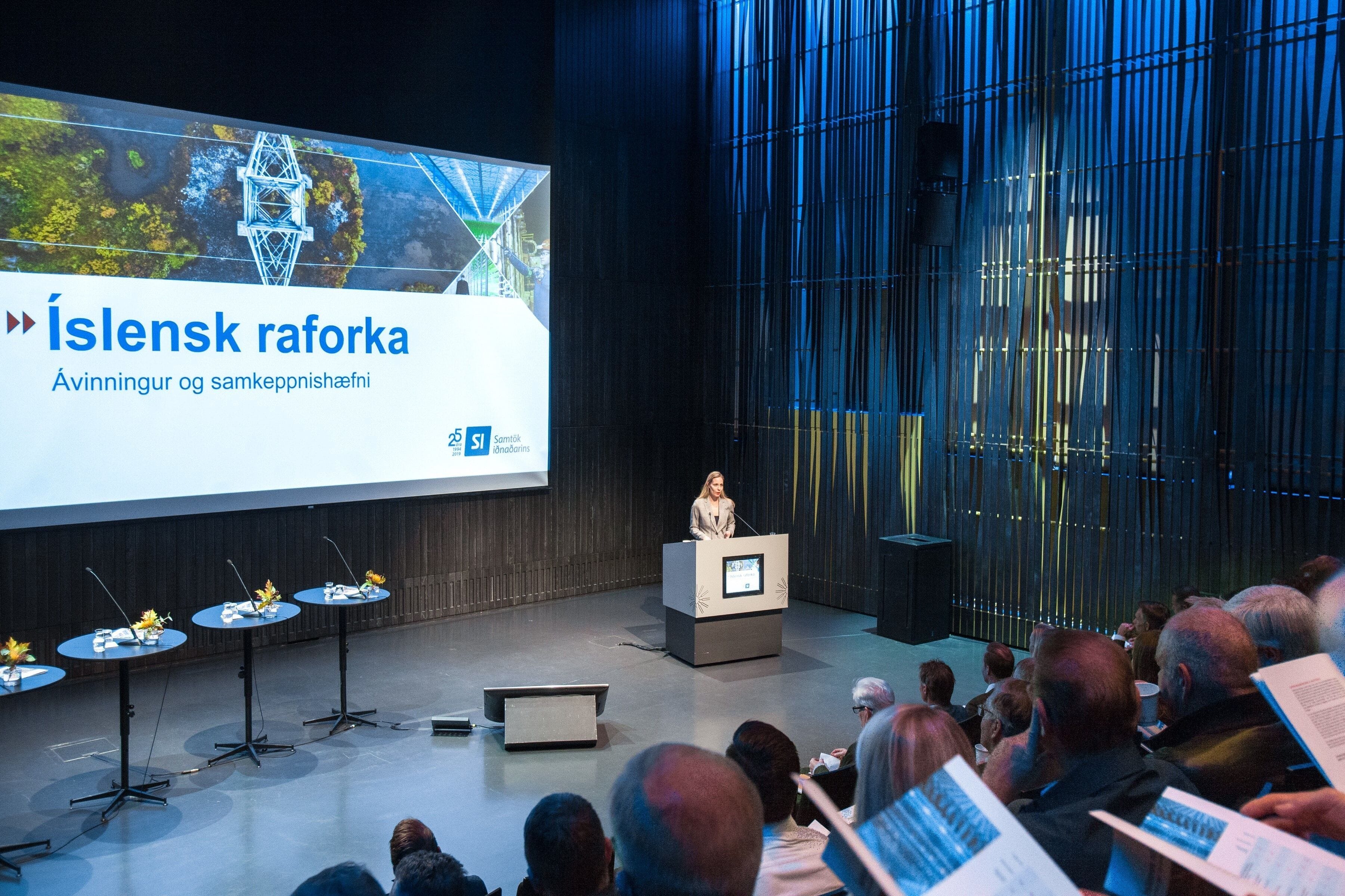 Fjölmennt á fundi SI um íslenska raforkumarkaðinn