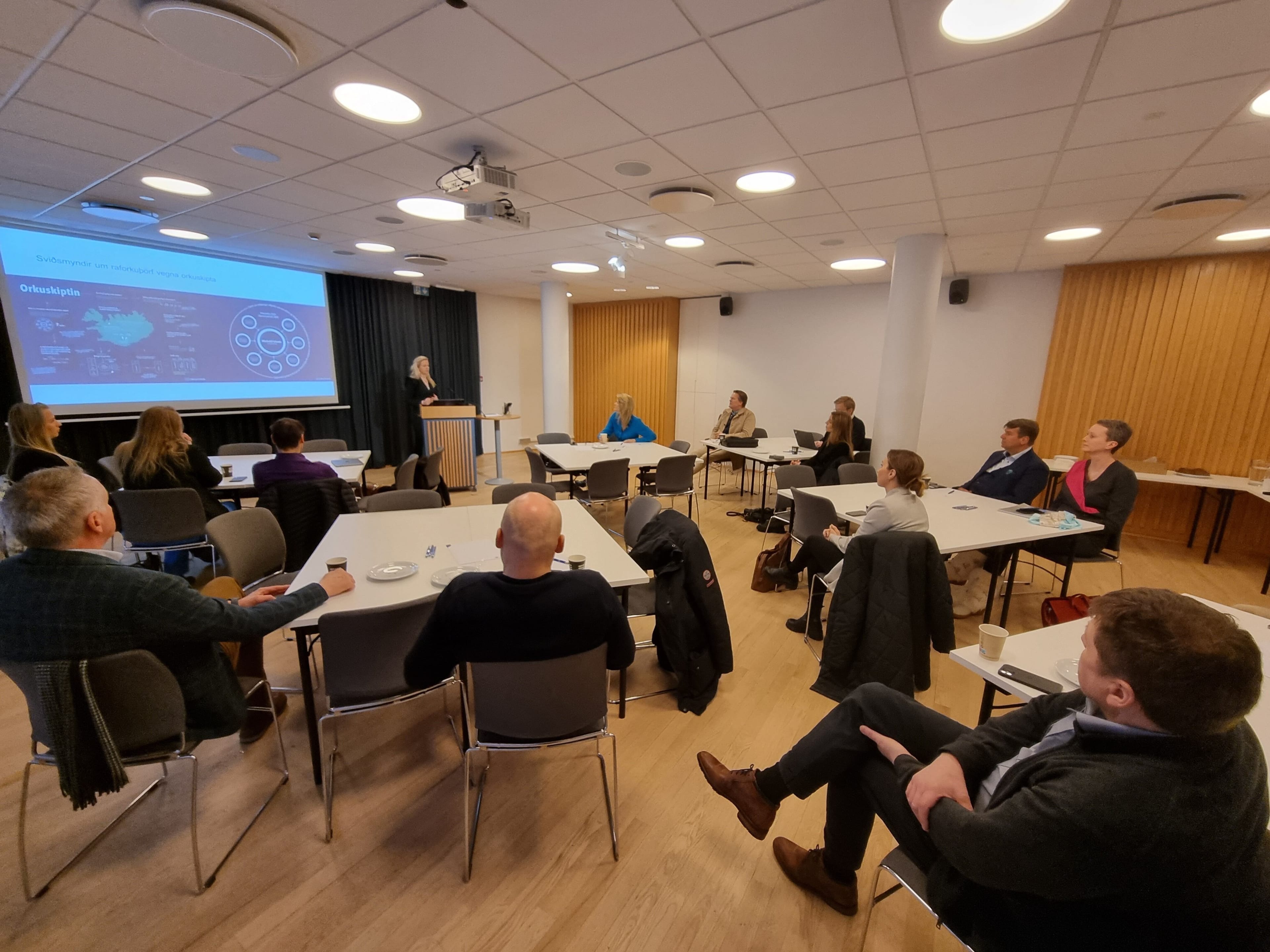 Fundur VOR með orkumálastjóra