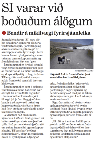 Morgunbladid-19-06-2026