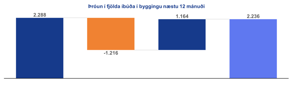 Ibudir_1738857781241