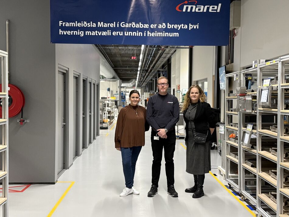 Marel-desember-2024