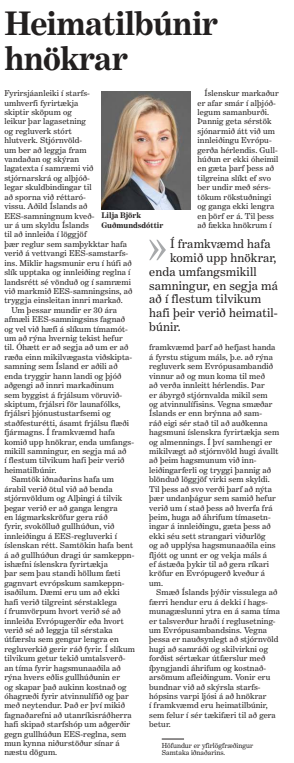 Morgunbladid-15-06-2024