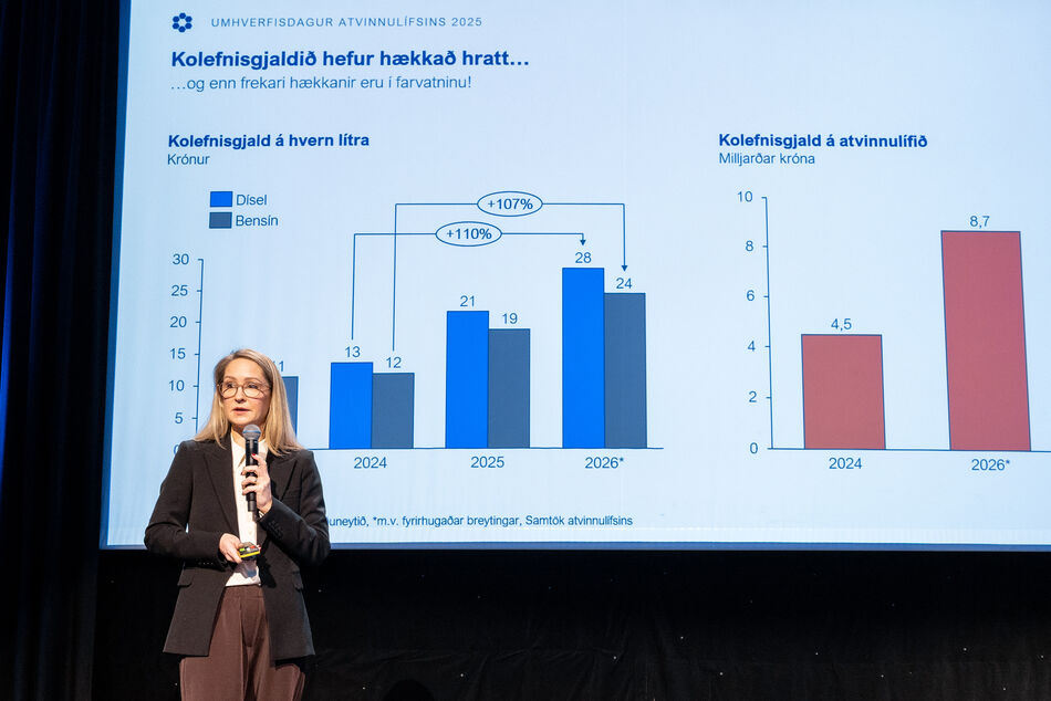 Sa_umhverfisdagurinn_2025-15