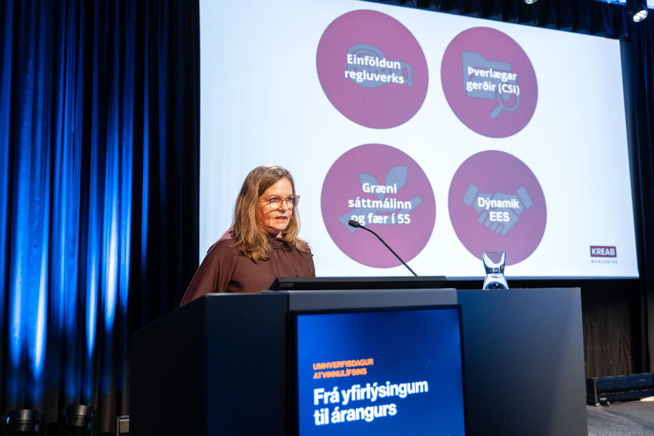 Sa_umhverfisdagurinn_2025-46