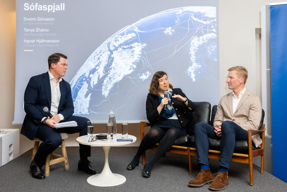 Si_hugverkarad_arsfundur_2025-14