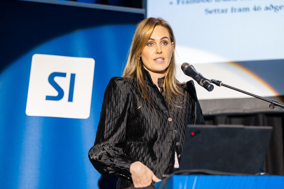 Si_mannvirkjathing_2025_a-76