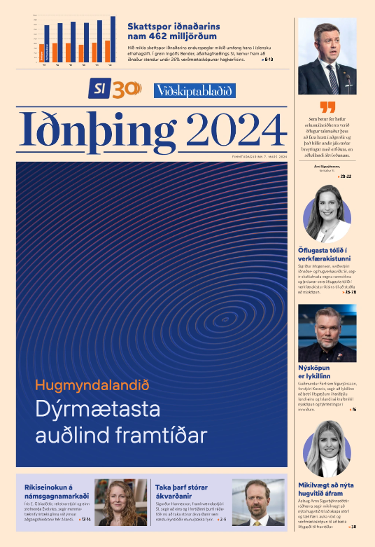 Vidskiptabladid_Idnthing-forsida