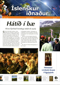 Íslenskur iðnaður í júní 2007